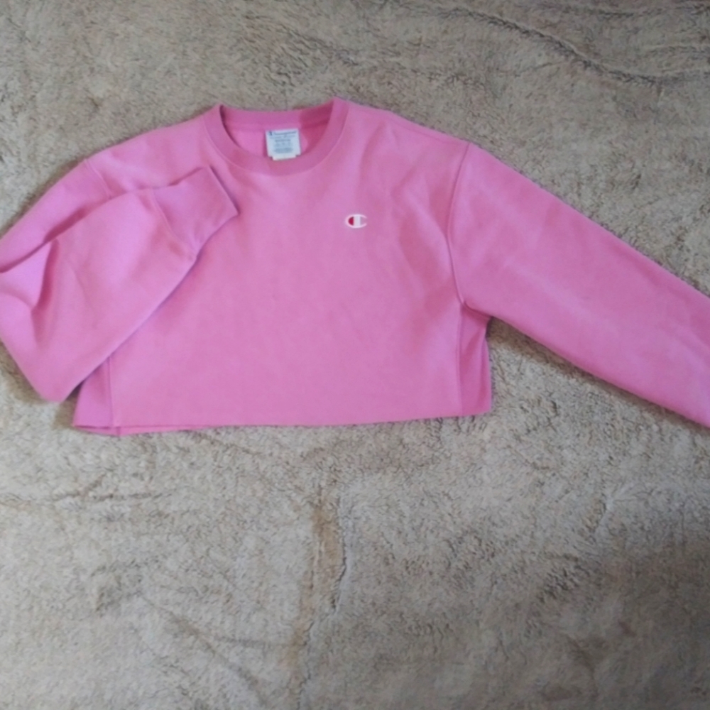 Champion crop top sweatshirt